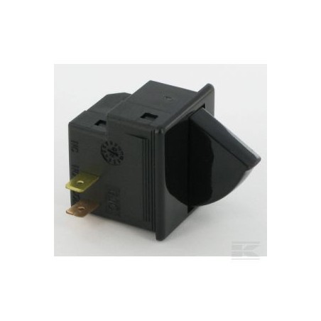 119410613/0 Micro-switch N.O Swam SD