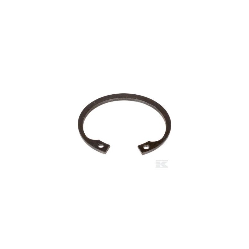 Circlips