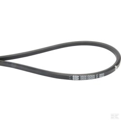 Courroie pour lames AA96 MP98C