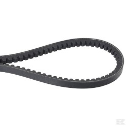 1134-9172-01 BELT