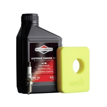 992231 Kit entretien Briggs&Stratton série 450E, 500E