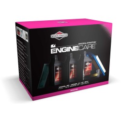 992238 Kit entretien Briggs&Stratton Model 28, 31 I/C
