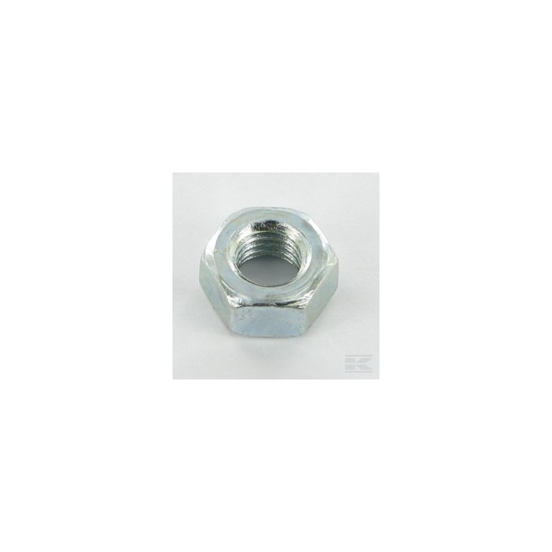12293200/0 HEXAG. NUT                          2009