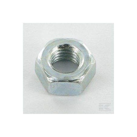12293200/0 HEXAG. NUT                          2009
