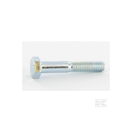 12691200/0 HEXAG.HEAD SCREW                    2009