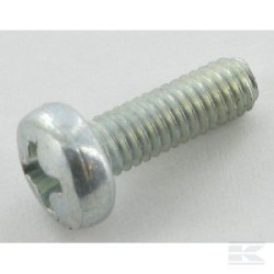 12726388/0 SCREW                               2009