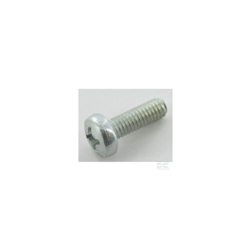 12726388/0 SCREW                               2009