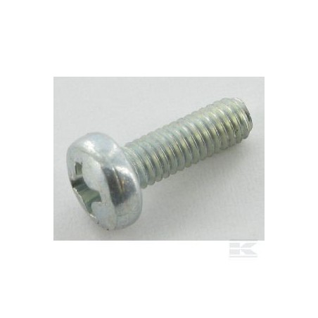 12726388/0 SCREW                               2009