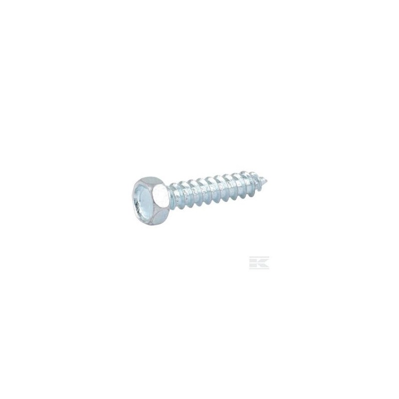 12735105/0 SCREW                               2009