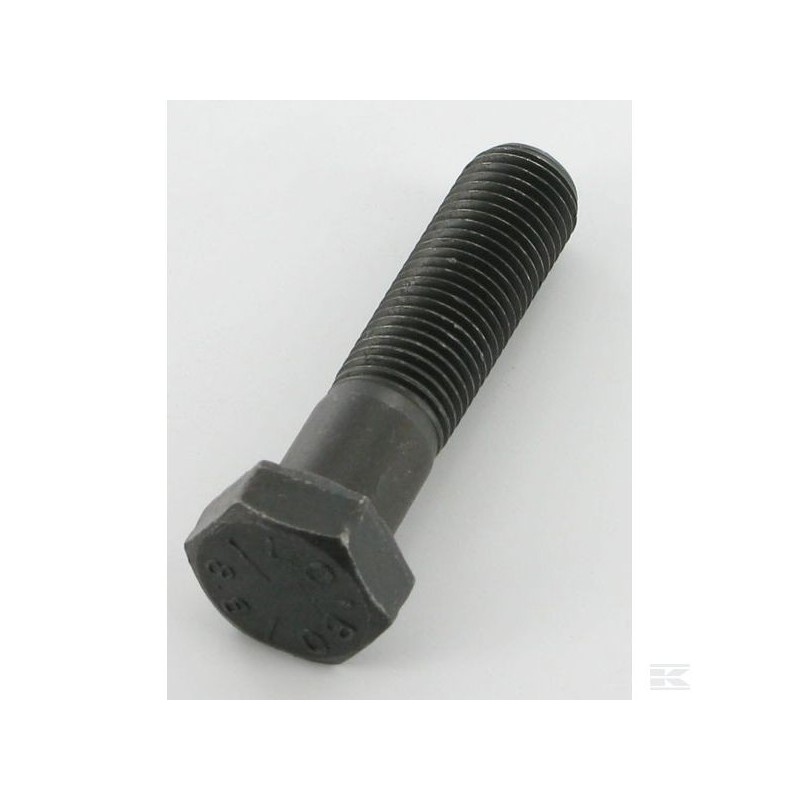 12735694/0 HEXAG.HEAD SCREW                    2009