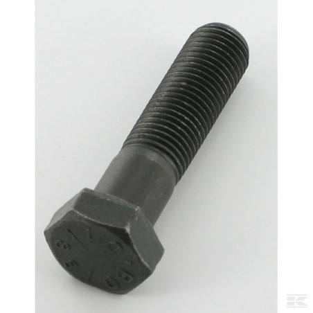 12735694/0 HEXAG.HEAD SCREW                    2009