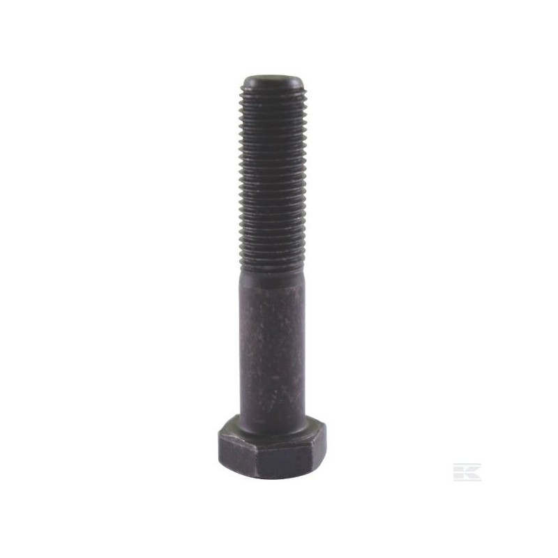 12735698/0 HEXAG-HEAD SCREW                    2009