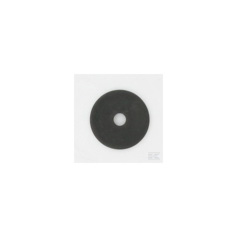 22160400/0 ELASTIC DISK                        2009