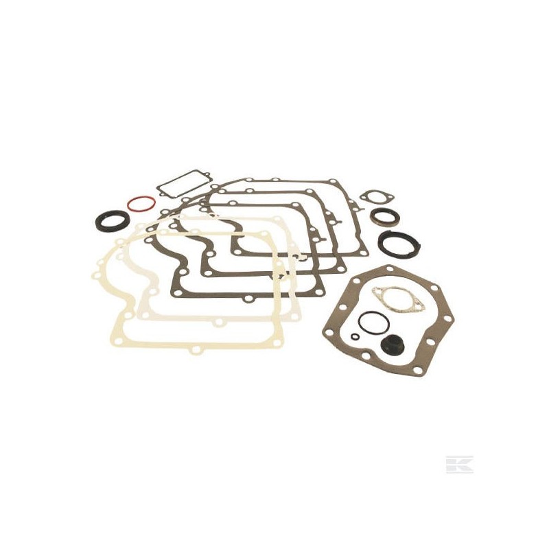 494241 Kit de joints