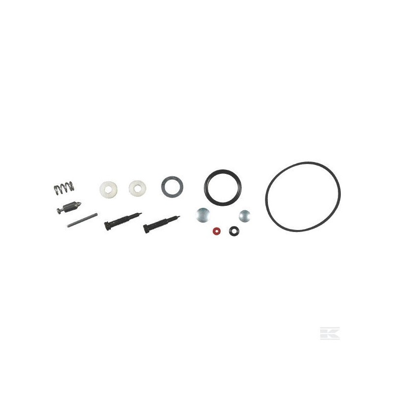 494349 Kit de réparation carburateur