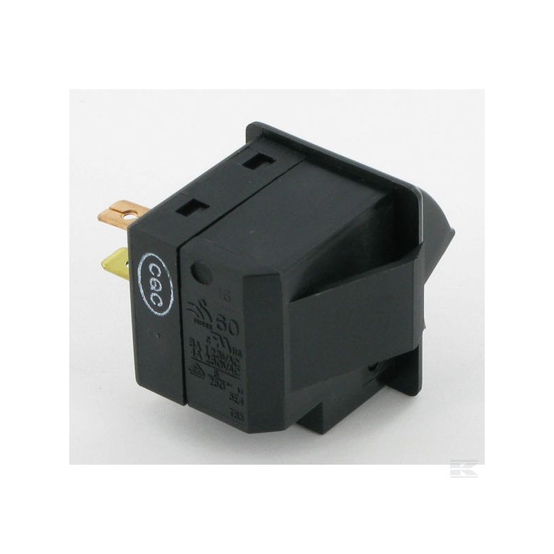 Micro-interrupteur N.O Swam SD