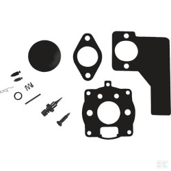 394989 Kit de réparation carburateur