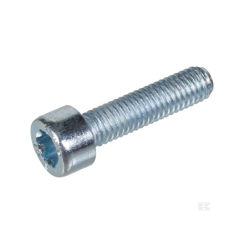 2135030 VIS TX M5X20