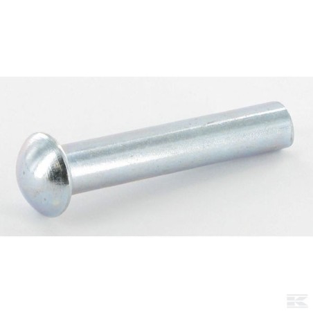 Rivet