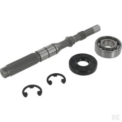 1A646099950 Kit arbre de pompe/roulement