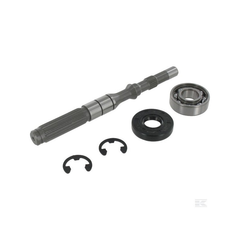 1A646099950 Kit arbre de pompe/roulement