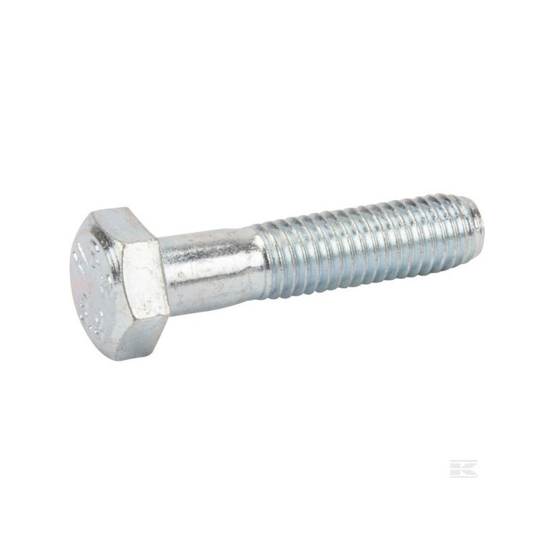 12691100/0 HEXAG.HEAD SCREW                    2009