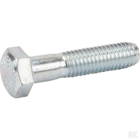 12691100/0 HEXAG.HEAD SCREW                    2009