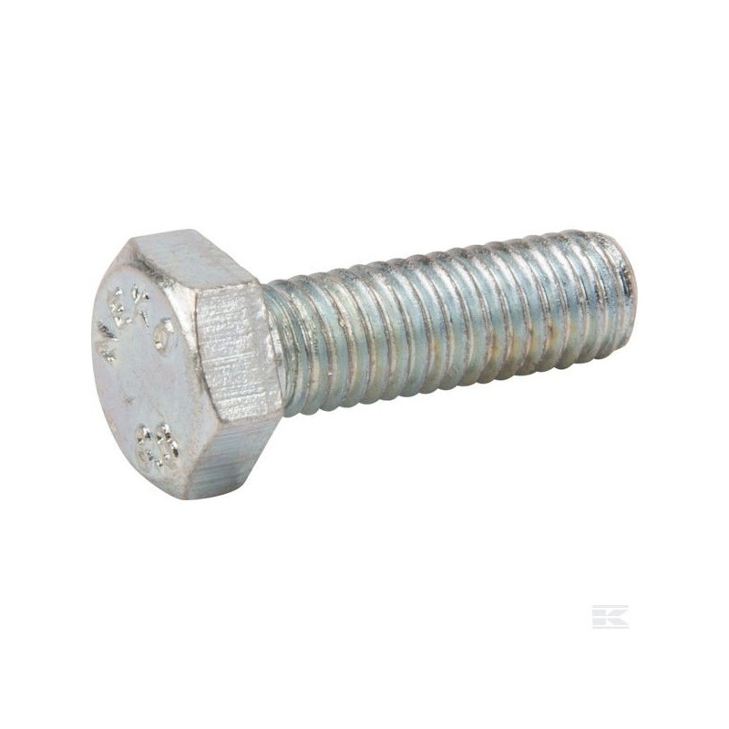 12793301/0 HEXAG-HEAD SCREW                    2009