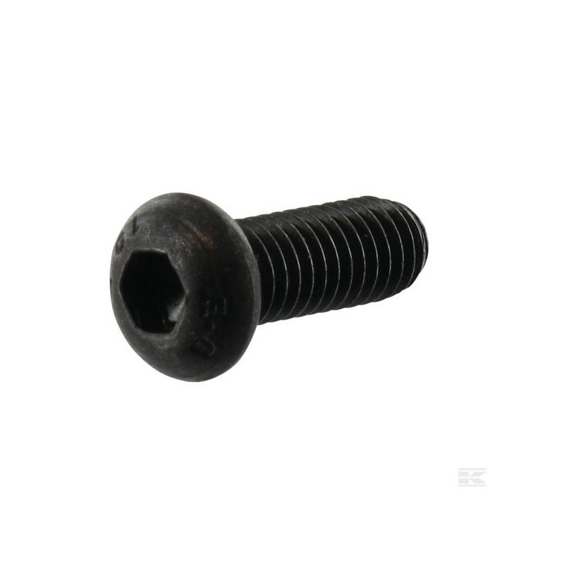 123878109/0 SCREW