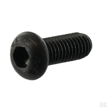 123878109/0 SCREW