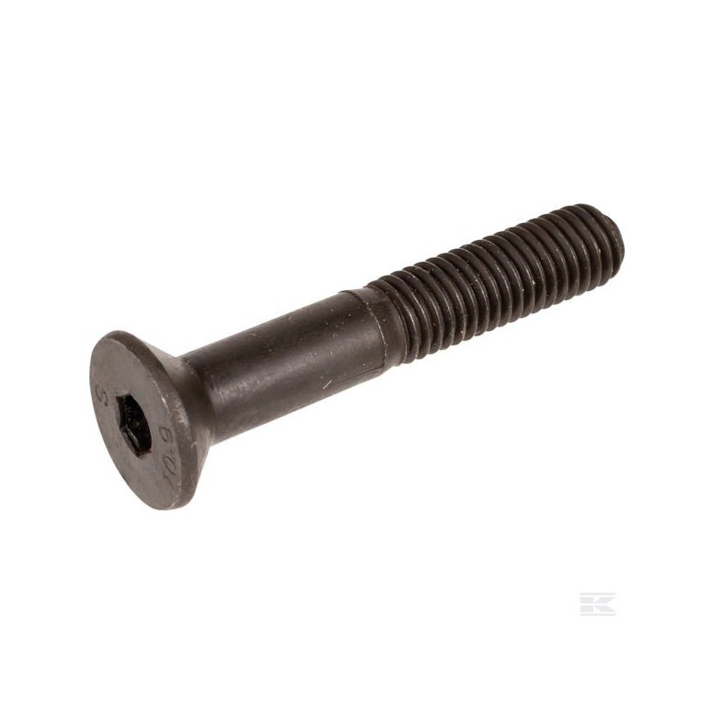 9924-1060-19 SCREW