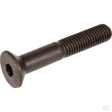 9924-1060-19 SCREW