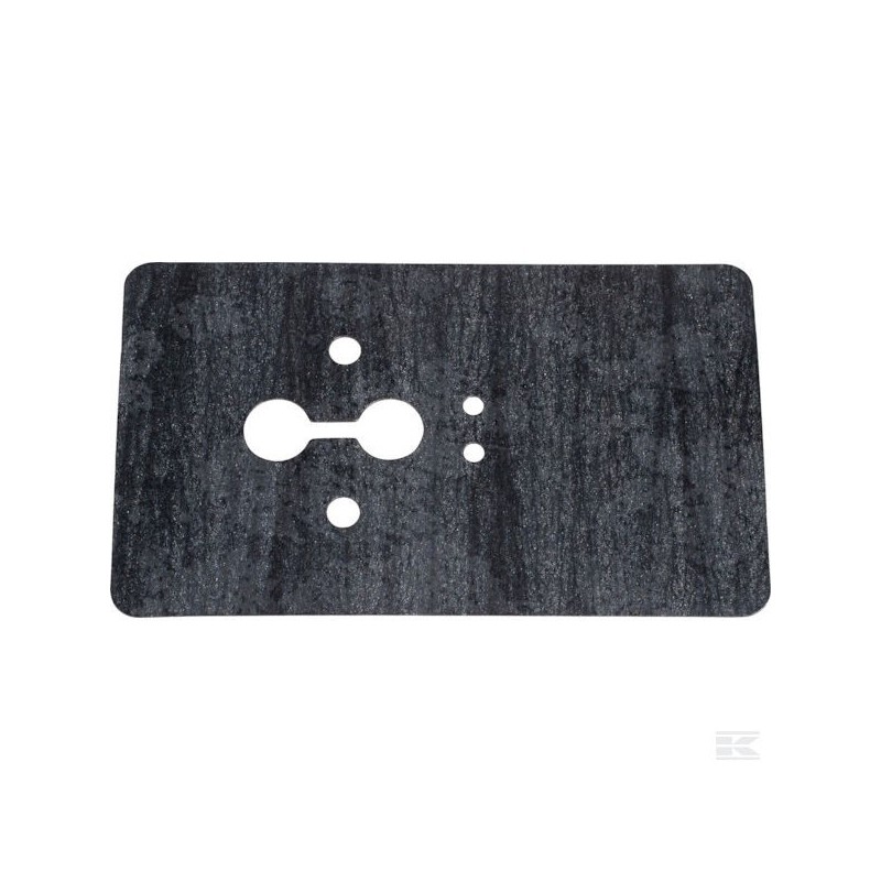 Joint de collecteur d'admissio