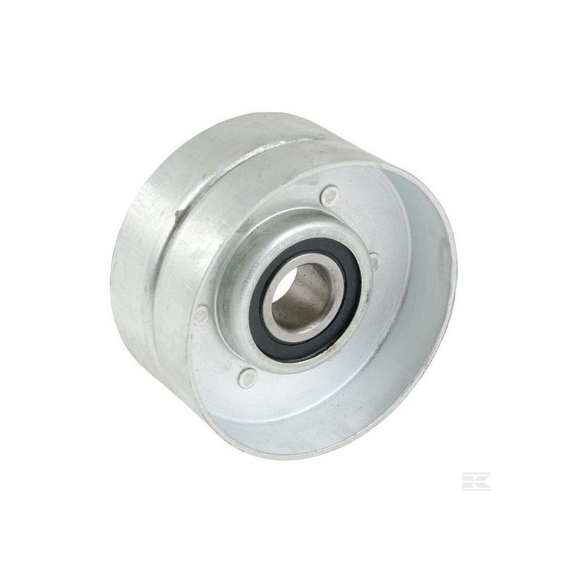 Rouleau tendeur avec Roulement