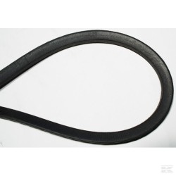 Courroie Park 100 Combi 3 (2WD