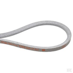 1134-9169-01 BELT