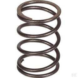 Ressort de soupape RS100