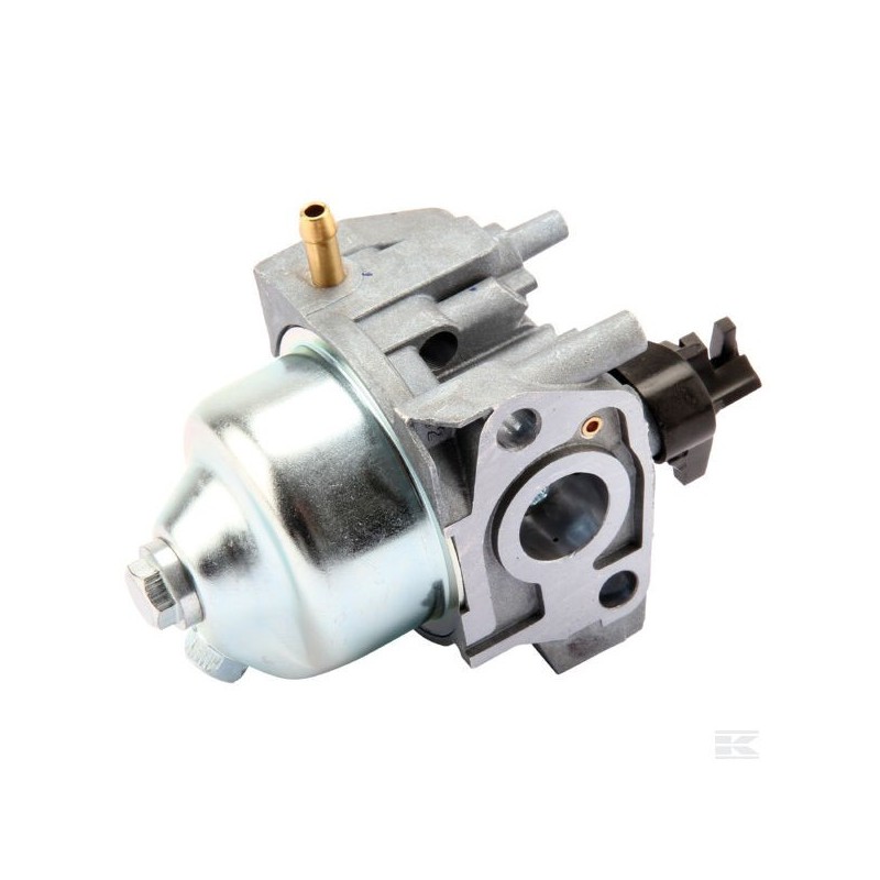 118550697/0 CARBURATEUR RS100