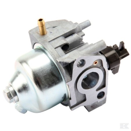 118550697/0 CARBURATEUR RS100