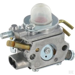 118801422/0 CARBURATEUR H60