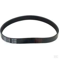 118802681/0 BELT