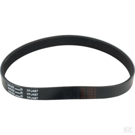118802681/0 BELT