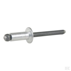 Rivet