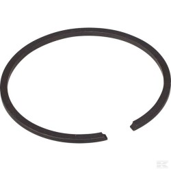 123204008/0 SEGMENT PISTON