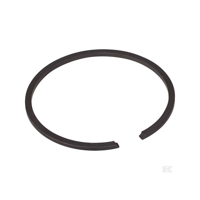 123204008/0 SEGMENT PISTON