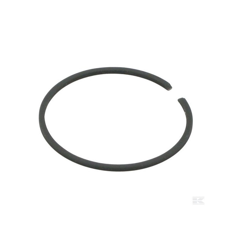 123204009/0 SEGMENT PISTON