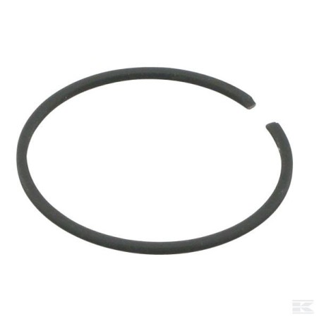 123204009/0 SEGMENT PISTON