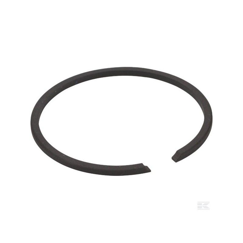 123204010/0 SEGMENT PISTON