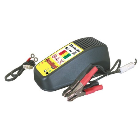 Chargeur de batterie automatique