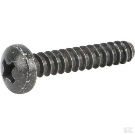 112728531/0 SELF-TAP SCREW 4.8X25 ISO 1458